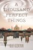 A Thousand Perfect Things