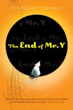 The End of Mr Y