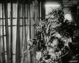 Tetsuo: the Iron Man